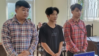 Hai anh em ruột lãnh án vì tham gia 8 vụ trộm xe máy