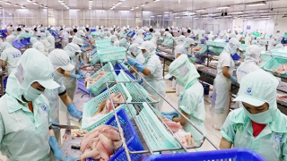 Nâng cao sức cạnh tranh của ngành hàng cá tra Việt Nam