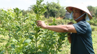 Nhân rộng các mô hình hỗ trợ người hoàn lương