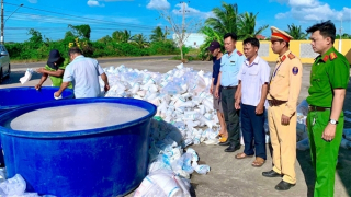 Tiêu hủy trên 2,7 triệu tôm giống không chứng nhận kiểm dịch