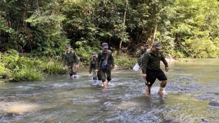 Nỗ lực triển khai các nội dung liên quan đến quản lý, bảo vệ rừng