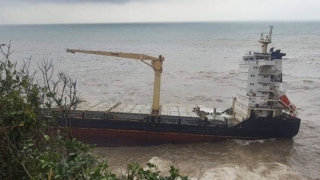 Tìm kiếm 2 thuyền viên mất tích trong tàu hàng bị chìm