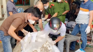 Giá đắt cho những kẻ lợi dụng luồng xanh để vận chuyển ma túy