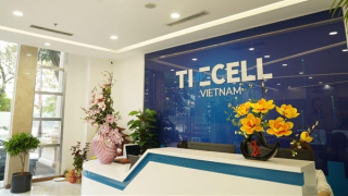 Xử phạt và đình chỉ cơ sở thẩm mỹ hoạt động “chui”