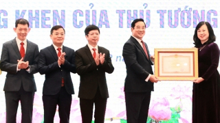 Nhiều lĩnh vực kỹ thuật y khoa ở Việt Nam đã phát triển đạt tầm quốc tế