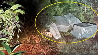 10.000 gói thuốc lá nhập lậu giấu nhiều nơi trong rừng bạch đàn sát biên giới