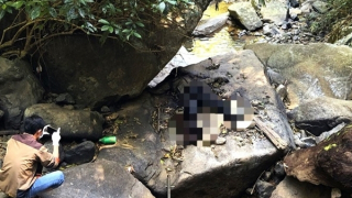 Phát hiện thi thể phân hủy trong rừng sâu khi đi bắt ếch