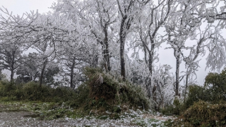 Rét đậm, rét hại khắp miền Bắc và Bắc Trung Bộ