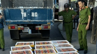 Núp bóng xe chở trái cây "ém" hơn 6,3 tạ pháo lậu