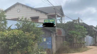 Bắt tạm giam kẻ rủ người tình đến nhà nghỉ rồi dùng súng ép uống thuốc tự tử