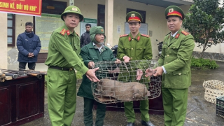 “Trao sinh kế, đổi vũ khí”