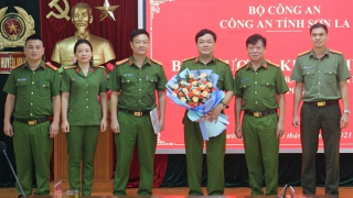 Cuộc chiến không khoan nhượng với “sói trắng”