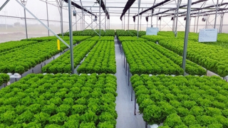 Tăng trưởng xanh - cứu cánh của nền kinh tế: Hoá giải khó khăn (Bài cuối)