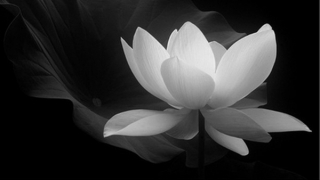 Tin buồn: Thiếu tướng Đinh Hồng Đe từ trần