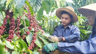 Đằng sau một con số phần trăm