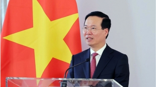 Chủ tịch nước ân giảm hình phạt tử hình xuống tù chung thân cho 18 bị án