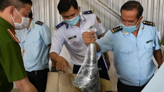 Đà Nẵng tiêu hủy gần 10 tấn ngà voi, sừng tê giác... nhập lậu trị giá 300 tỷ đồng