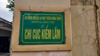 Khởi tố nguyên Chi cục trưởng Kiểm lâm Quảng Trị