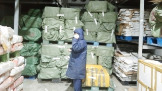 Ngăn chặn thực phẩm “bẩn” vào TP Hồ Chí Minh