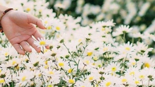 Hẹn hò với mùa đông