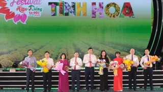 Làng hoa Sa Đéc tô đậm hình ảnh đẹp của quê hương Đất Sen hồng