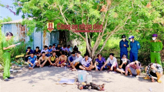 Triệt xóa trường gà giữa đầm tôm