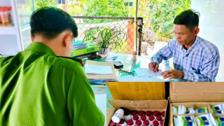 Không để hàng giả xâm nhập thị trường Tết