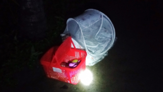 Phát hiện bé trai sơ sinh bị bỏ rơi trong chiếc nôi