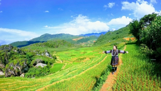 Miền quê của mỗi chúng ta