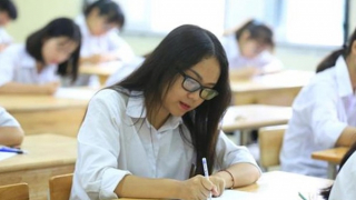 Hơn 5.800 thí sinh dự kỳ thi chọn học sinh giỏi quốc gia năm học 2023-2024