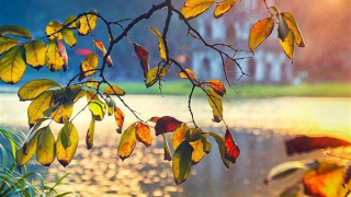 Miền Bắc ấm áp có sương mù, Nam Bộ nắng nóng