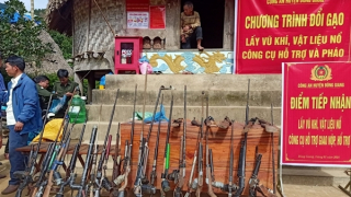 Hiệu quả chương trình đổi vũ khí lấy gạo tại miền núi Quảng Nam