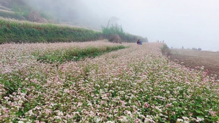 Lấy văn hóa là trọng tâm để phát triển du lịch, xóa đói giảm nghèo