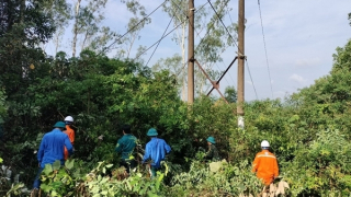 Một công nhân điện lực bị tử vong do điện giật