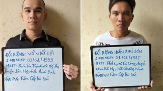 “Ăn” hàng trăm gốc sâm Ngọc Linh, nhiều đối tượng sa lưới