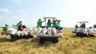 Đẩy mạnh cơ cấu lại nông nghiệp để đạt mục tiêu tăng trưởng cao nhất