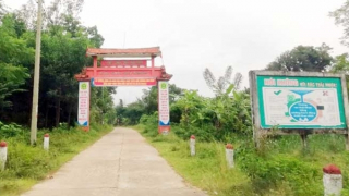 Cuộc trở mình của làng cổ