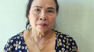 "Nữ quái" trốn truy nã ra nước ngoài sa lưới