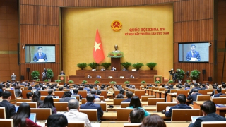 Đề xuất phân bổ hơn 2.526 tỷ đồng để EVN cấp điện cho huyện Côn Đảo