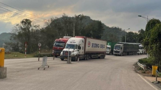 Đẩy mạnh xuất khẩu sang Trung Quốc