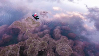 Đôi mắt mùa xuân