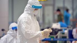 Cảnh báo dịch bệnh truyền nhiễm gia tăng khi thế giới có hơn 10 nghìn ca tử vong do COVID-19