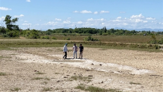 Thủ tướng yêu cầu ứng phó với nguy cơ hạn hán, thiếu nước, xâm nhập mặn