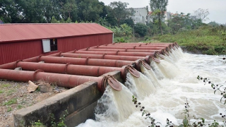 Lấy nước tối đa từ các hồ thủy điện, phục vụ gieo cấy lúa