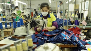 Chính sách đột phá hướng đến nền kinh tế xanh