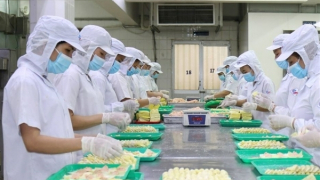 Nhiều dư địa để phát triển ngành thực phẩm và đồ uống