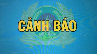 6 bị hại bị chiếm đoạt gần 20,6 tỷ đồng khi tham gia “dịch vụ công giả mạo”