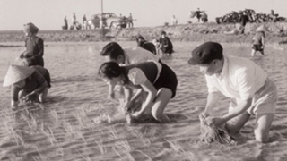 Đại tướng Nguyễn Chí Thanh - vị danh tướng bình dị