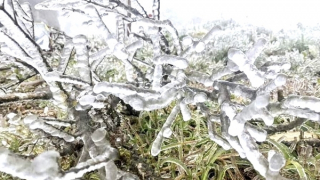 Nhiều khả năng xuất hiện băng giá trong đợt rét sắp tới