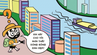 Phỏng vấn con cá